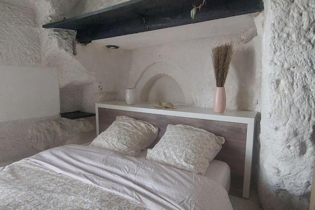 Troglo Entre Caves Et Chateaux Montlouis-sur-Loire Kültér fotó