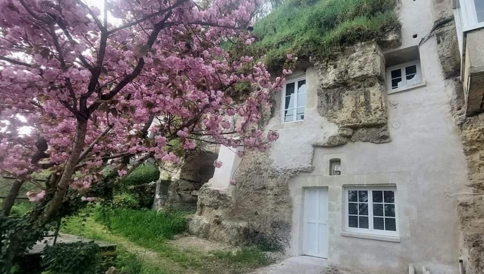Troglo Entre Caves Et Chateaux Montlouis-sur-Loire Kültér fotó